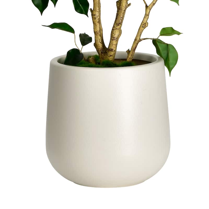 Artificial Ficus Tree in White Decor Pot