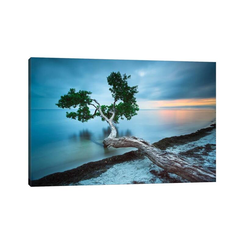 iCanvas "Water Tree 10 Color" by Moises Levy Canvas Print