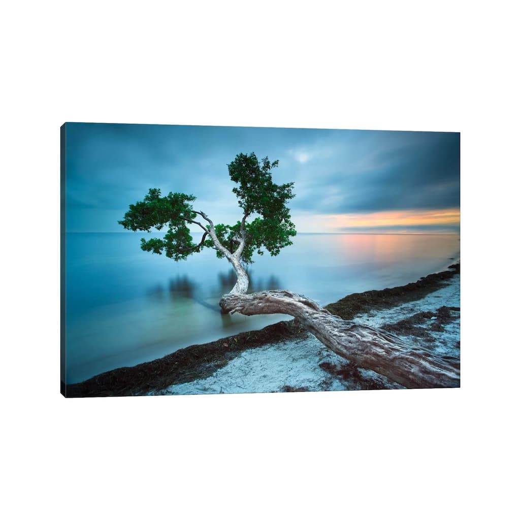 iCanvas "Water Tree 10 Color" by Moises Levy Canvas Print