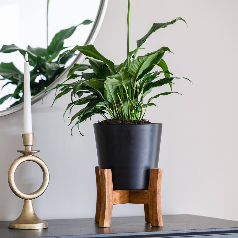 Southern Patio Contemporary Planter with Stand