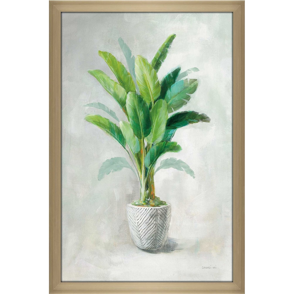 "Greenhouse Palm II" Print on Acrylic