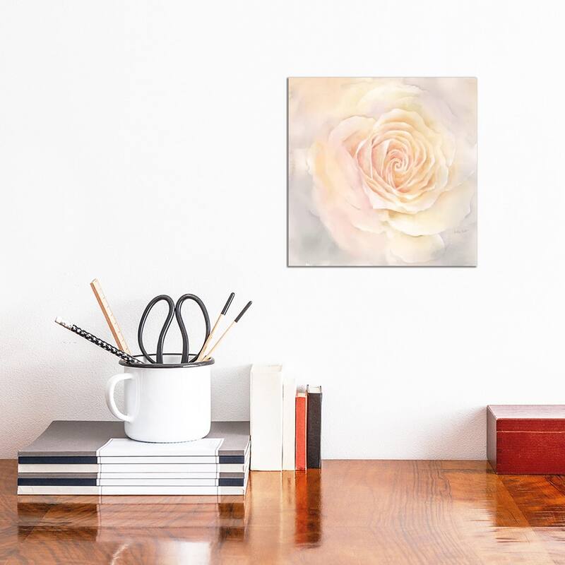 iCanvas "Blush Rose Closeup III" by Cynthia Coulter Canvas Print - 12x12x1.5