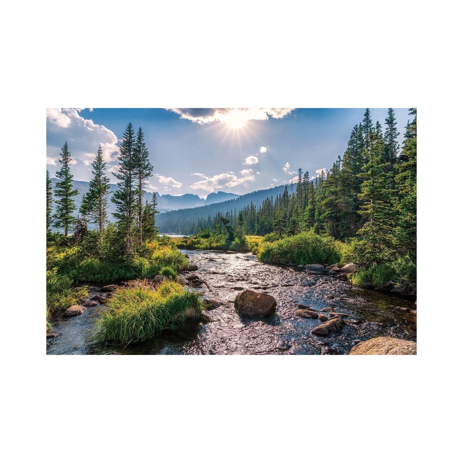 "Colorado Rocky Mountains Wilderness Landscape" by Daniel Forster Canvas Print