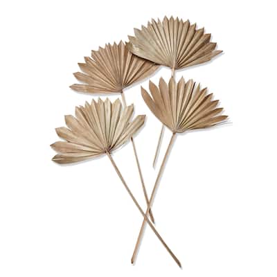 Sun Spear Stick Decorative Sculptures Set of 4 Natural Dried Plant Indoor Decor 23" H x 12" L x 0.5" W