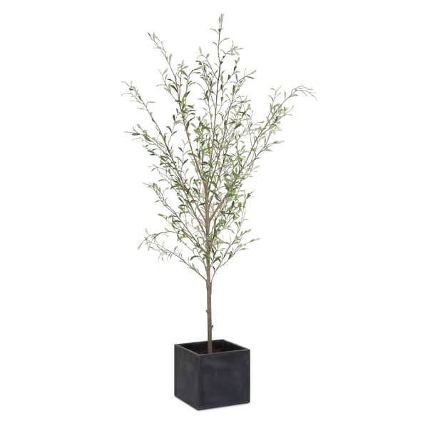slide 2 of 2, Uttermost Abundance Potted Olive Tree