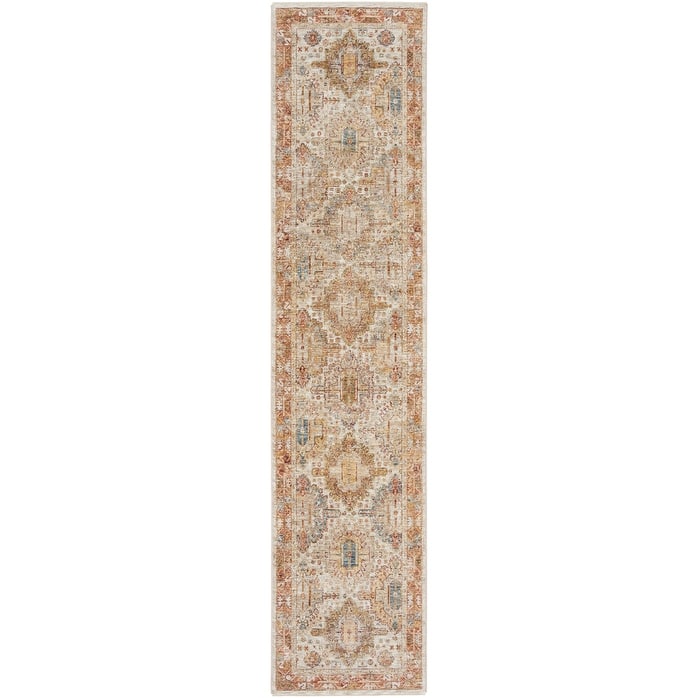 Nourison Petra Traditional Vintage Persian Area Rug