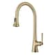 Option BG - Brushed Gold