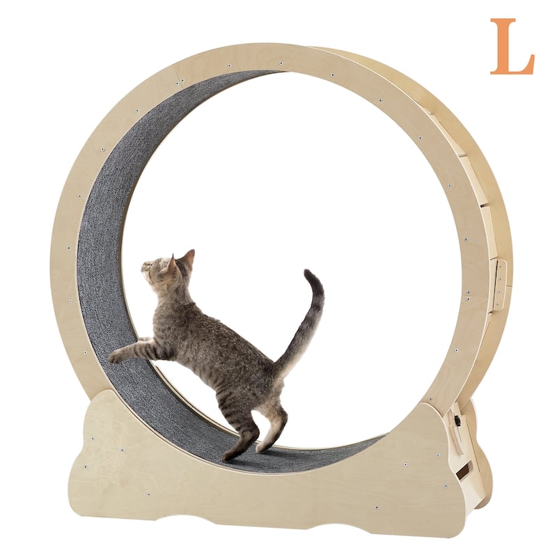 Indoor Cat Treadmill with Carpeted Track for Cats, Safe Cat Exercise Wheel with Secure Latch
