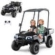 preview thumbnail 37 of 40, Kids Ride On Golf Cart with Remote 24V Rechargeable Battery USB Music and Sun Awning - 53.5" × 28" × 45" (L x W x H)
