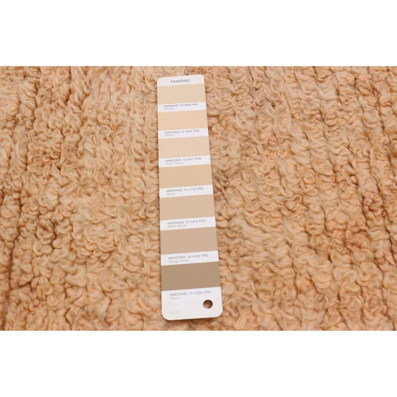 ECARPETGALLERY Hand-knotted Beni Ourain Beige Wool Rug - 4'2 x 5'6