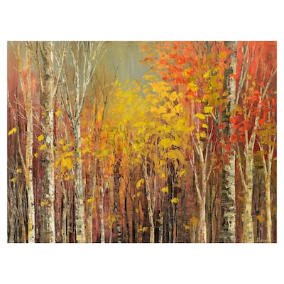 Tangled Colors by Tatiana Illina Canvas Art Print