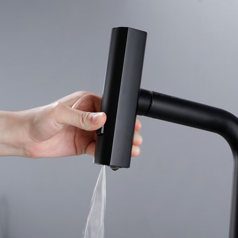 Single Handle Kitchen Faucet with Pull Out Sprayer Single Hole Brass Pull Out Kitchen Sink Faucets Matte Black