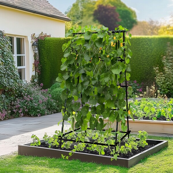 Triangle Garden Arch Trellis for Climbing Plants - On Sale - Bed