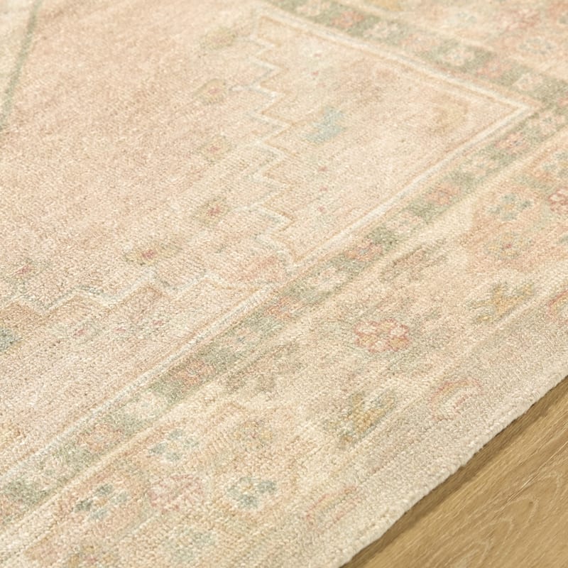 Livabliss x Galey Alix Luciana II Traditional Medallion Area Rug