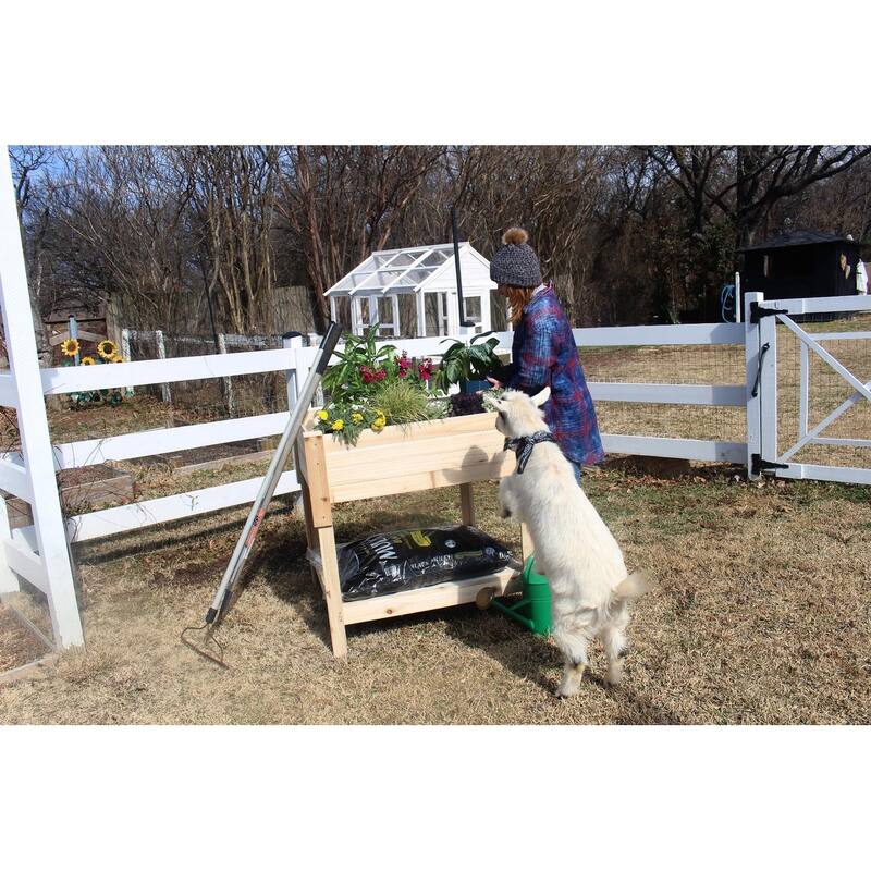 Zylina Raised Garden w/ lower Storage Shelf - 36 x 36 x 36