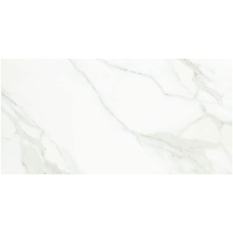 Emser Tile F19NOBL1224P Nobleza - 12" x 24" Floor and Wall Tile -