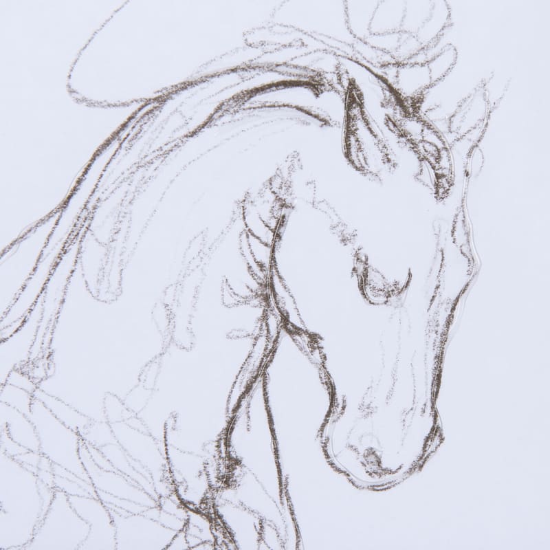 Horse I Framed Art Print