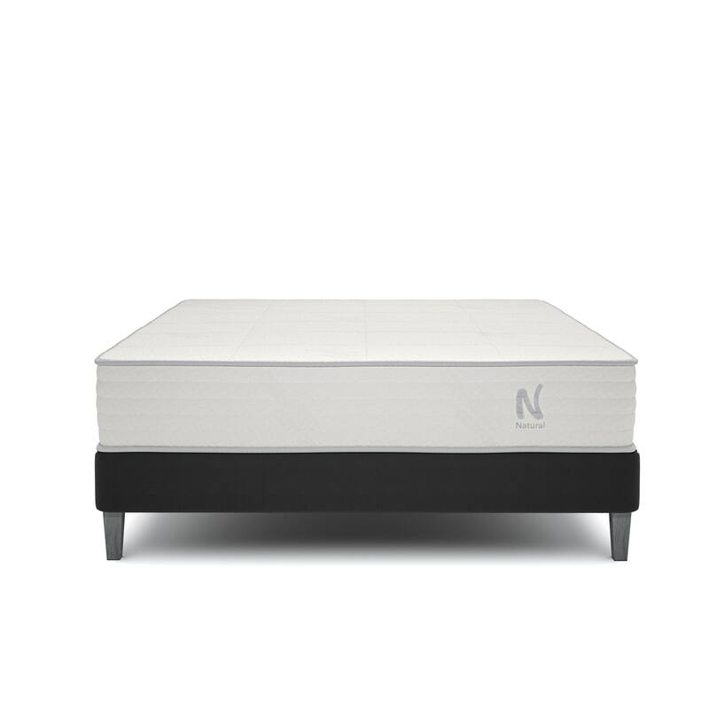 Nolah 11" Natural Latex Mattress