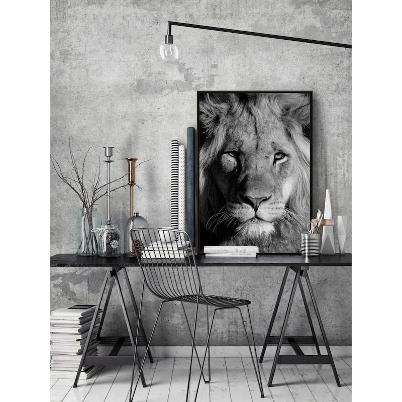 Lion Portrait Floater Framed Print on Canvas