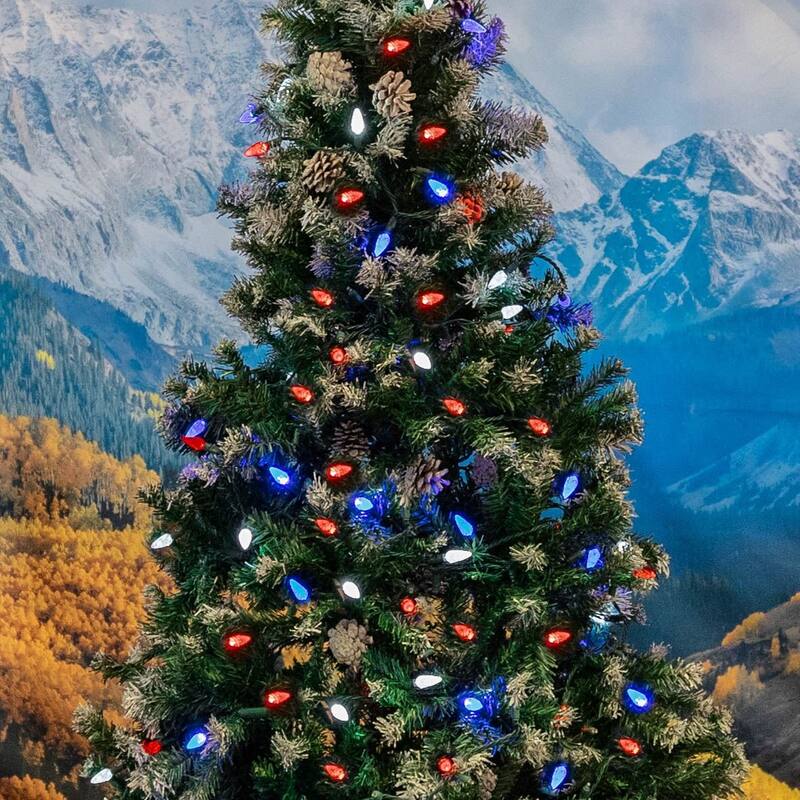 70 Light C6 LED Christmas Mini Light Set, Red/Pure White/Blue, Green Wire, 24' - Large