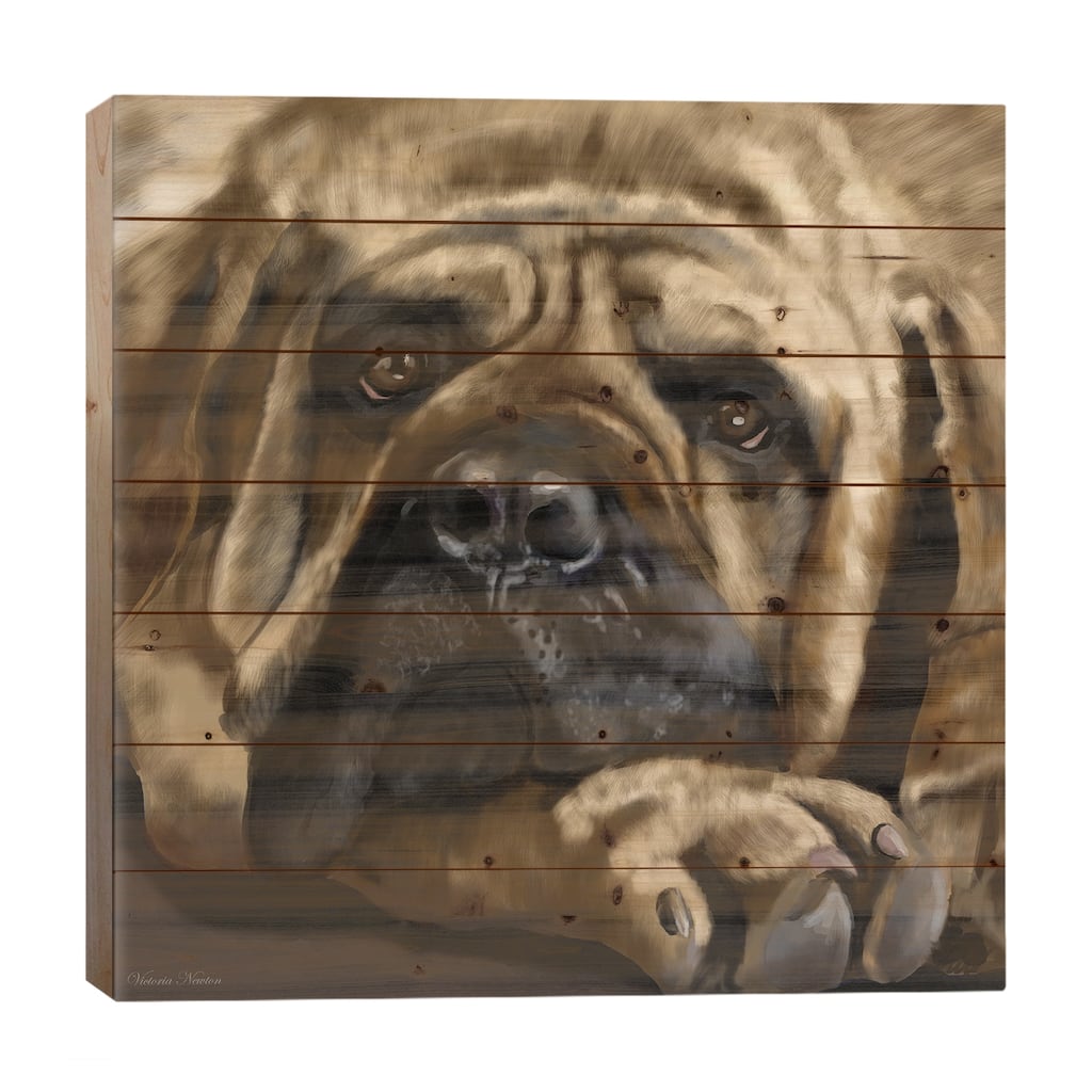 Mastiff Print On Wood by Vicki Newton - Multi-Color