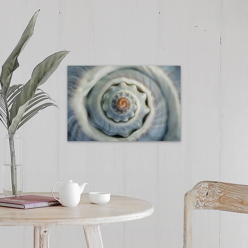 "Colorful conch shell spiral, Vienna, Austria" Canvas Wall Art - Includes Hardware - 24 x 16