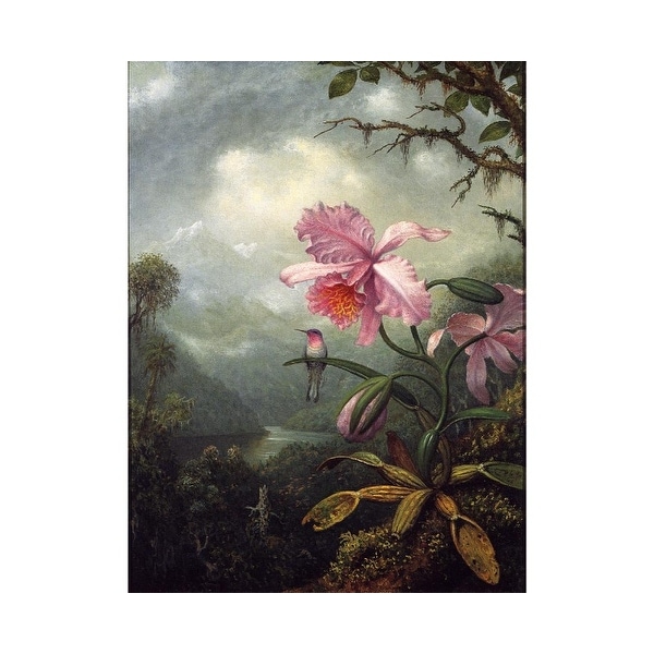 Easy Art Prints Martin Johnson Heade's 'Hummingbird Perched on an Orchid' Premium Canvas Art