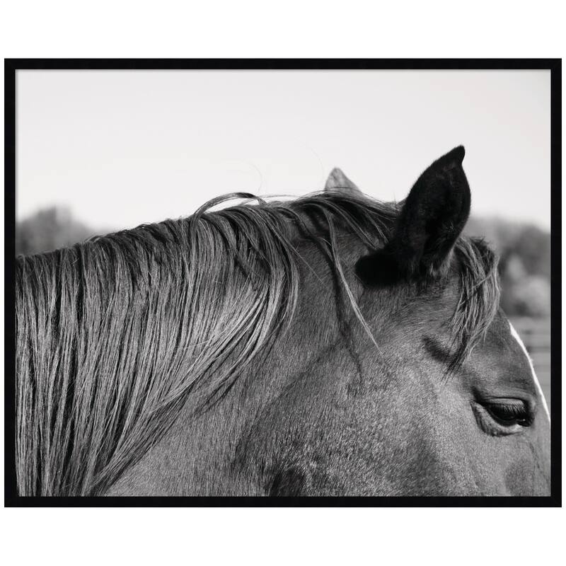 Kate and Laurel Auburn by Alicia Bock Framed Wall Art Print - 41 x 33 - Black