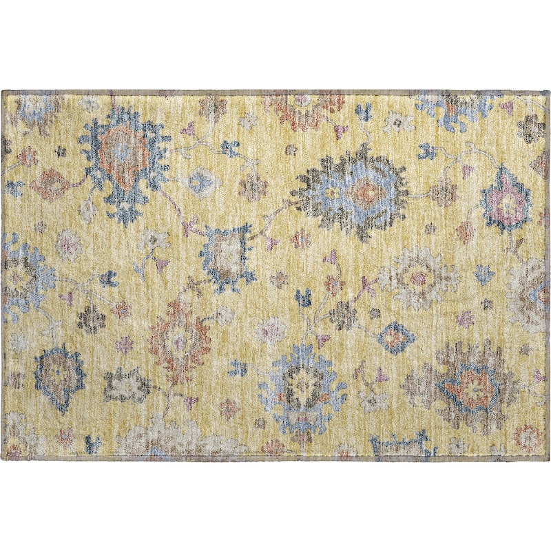 Premium Washable Super Soft Traditiional Spaces Mayfield Rug
