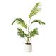 Option Palm Tree (Matte White Pot)