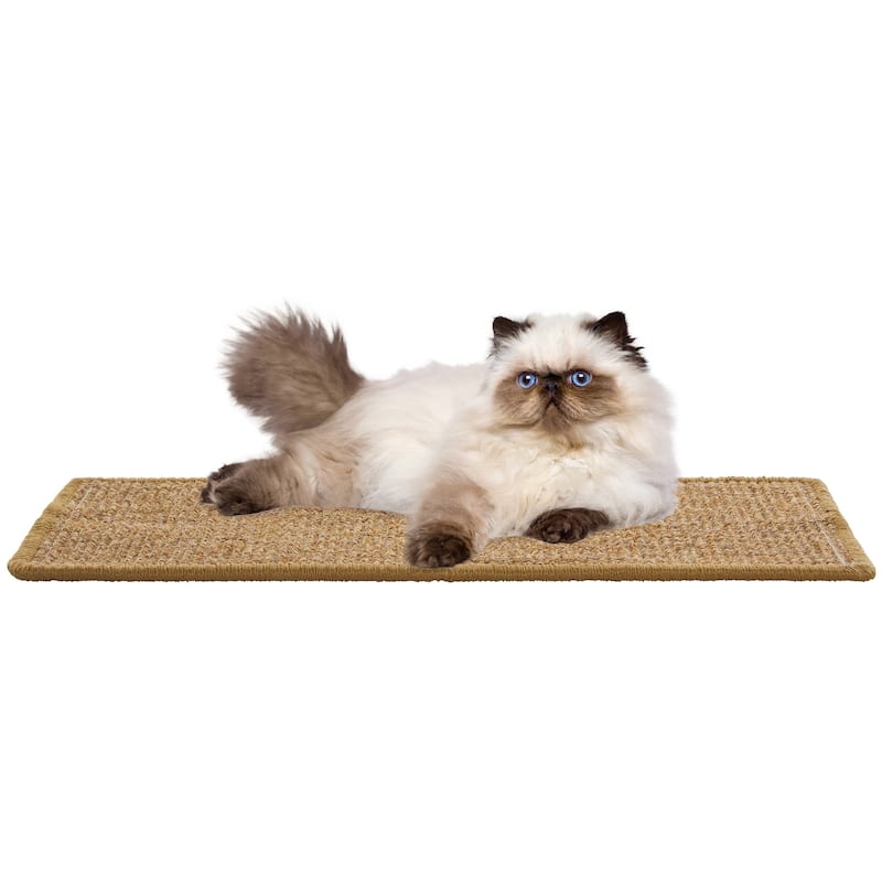SAFAVIEH Home Sisal Small Boucle Weave Cat Scratch Mat