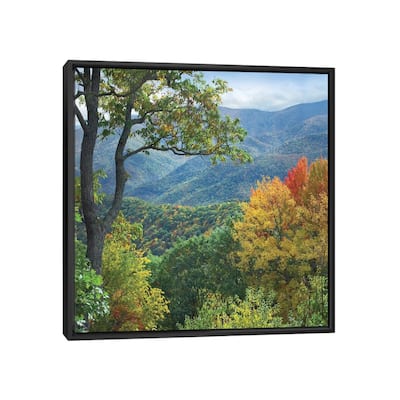 iCanvas "Deciduous Forest In Autumn, Blue Ridge Parkway, North Carolina" by Tim Fitzharris Framed Canvas Print