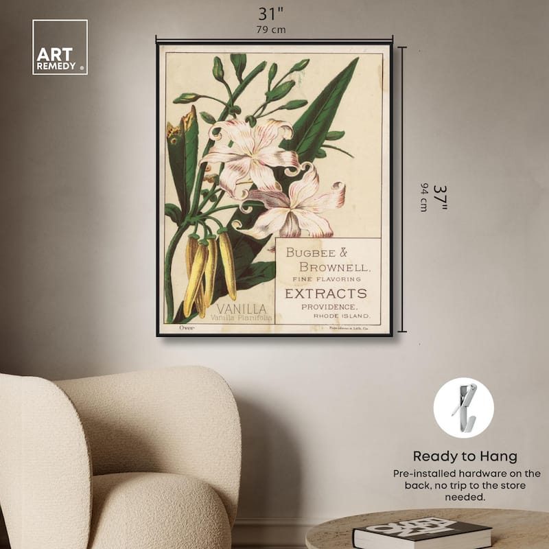 Vanilla Planifolia Canvas by Art Remedy