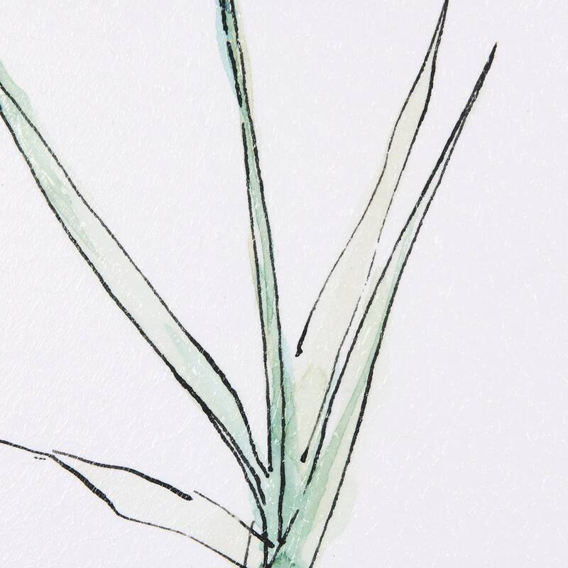 Dianthus (Set of 2) Framed Art Print