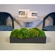 Mood Moss Arranged in a Fiberstone Planter - Green - Bed Bath & Beyond ...