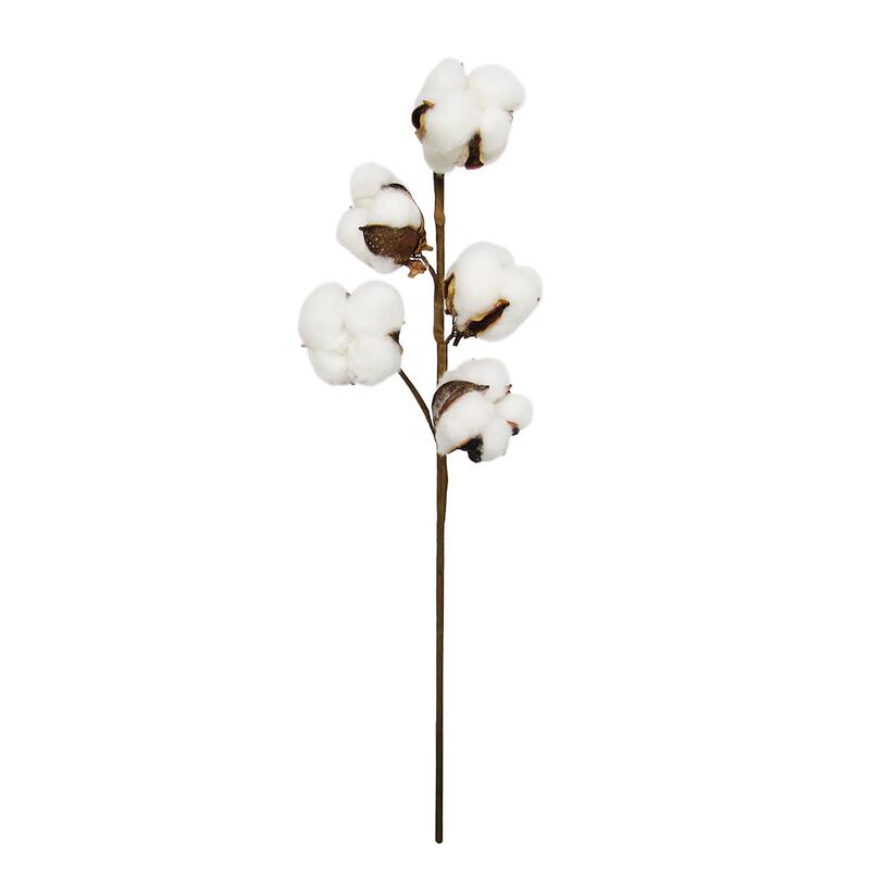 Set of 3 Cotton Stem Branch 16in - 16" L x 4" W x 2" DP
