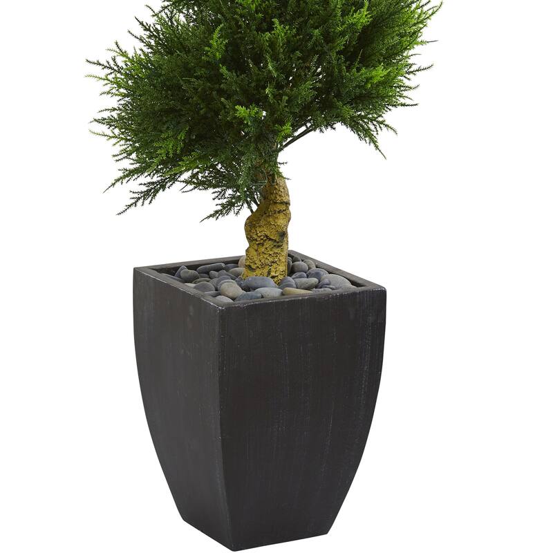5.5ft Cypress Spiral Artificial Tree in Black Wash Planter with UV Resistant Greenery for Indoor or Outdoor Spaces