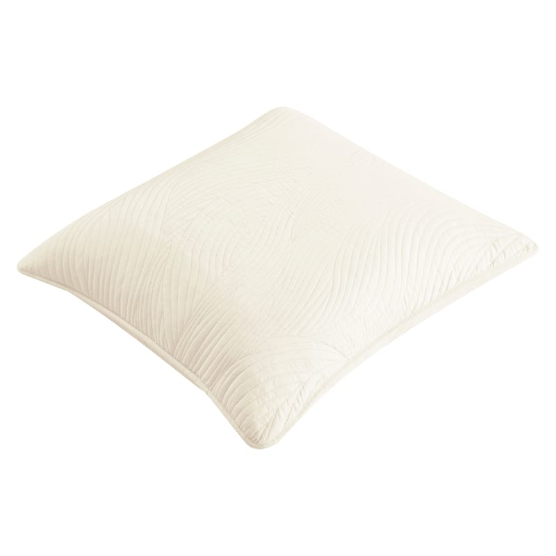Brielle Stream Embroidered Euro Sham Cover