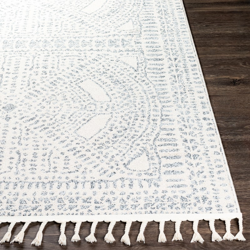 Artistic Weavers Maeve Boho Farmhouse Area Rug