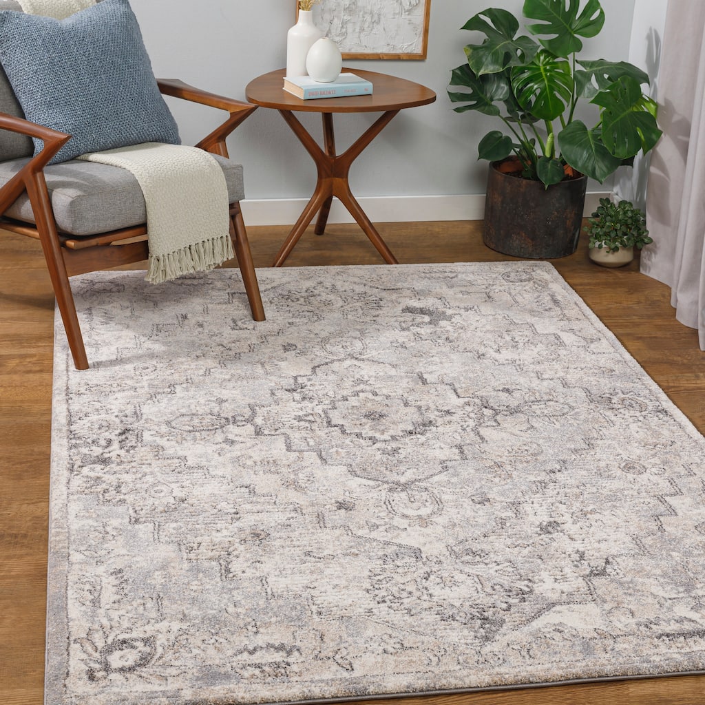 Livabliss Faris Traditional Medallion Area Rug