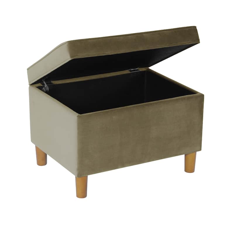 Fero Storage Ottoman, 24in Rectangular Hinged Lid, Sage Green Velvet