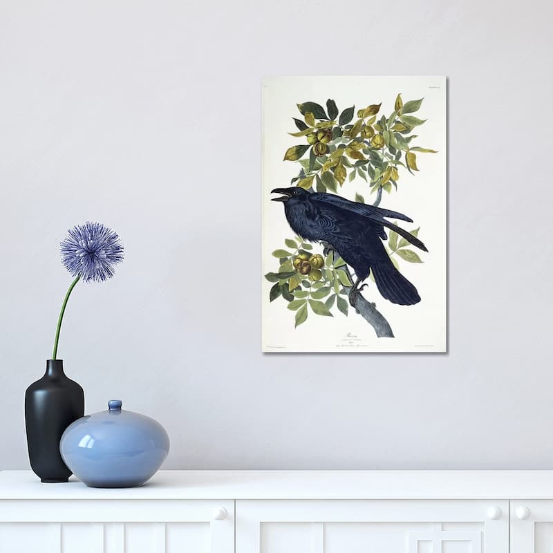 iCanvas "Raven," by John James Audubon Canvas Print - 18x12x1.5