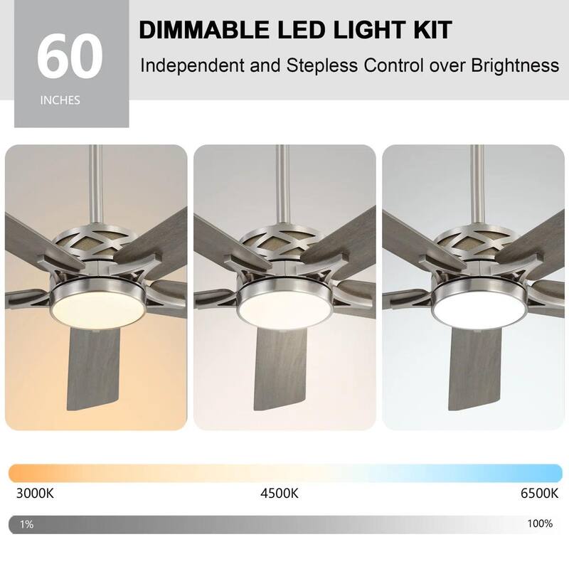 MLiAN 5-Blades DC Motor Indoor Smart Ceiling Fan with Light and Remote