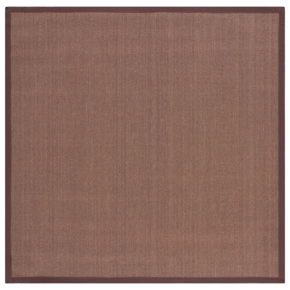 SAFAVIEH Natural Fiber Alleen Casual Border Sisal Rug