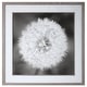 preview thumbnail 1 of 5, Uttermost Dandelion Seedhead Framed Print