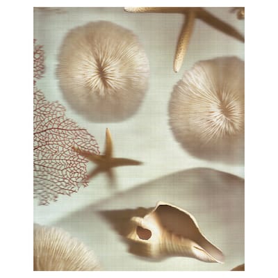 Nautical Illuminations No. 1 Canvas Art Print