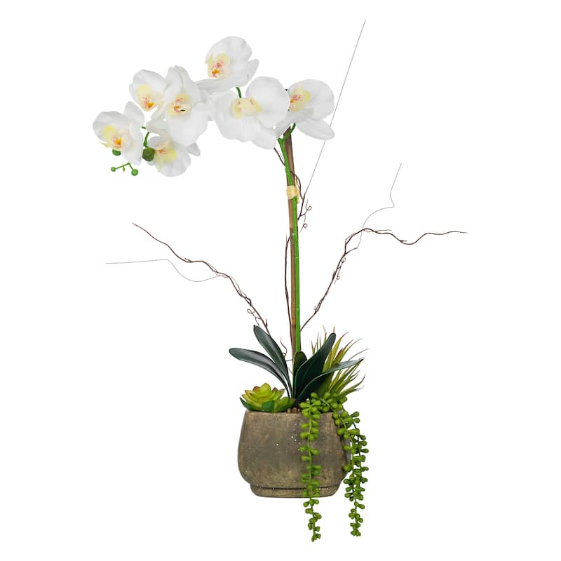 Single-stem Artificial Real Touch Silk Orchid with Succulents in Grey Cement Pot - 23.23" H x 12.2" W x 10.04" D