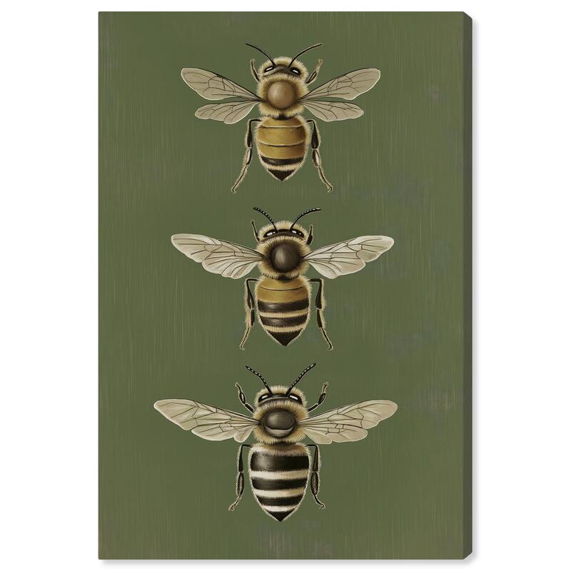 Anatomy of the Bee Canvas by Art Remedy, Gallery Wrapped - 30" x 45"