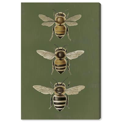Anatomy of the Bee Canvas by Art Remedy, Gallery Wrapped