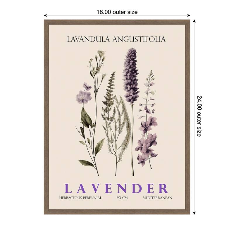 Vintage Botanical Lavender No. 2 Illustration by Christopher Giampietro Framed Canvas Wall Art Print - Brown - 18 x 24 in